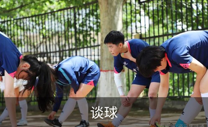 谈球介绍
